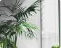战术板：如何破解对手防线 - 虎扑体育